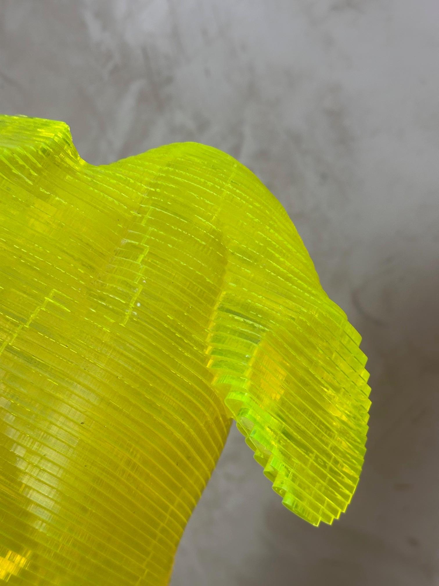 Corpo maschile in acrilico Scultpure Edizione limitata di Olivier Duhamel, 2016s in vendita 6