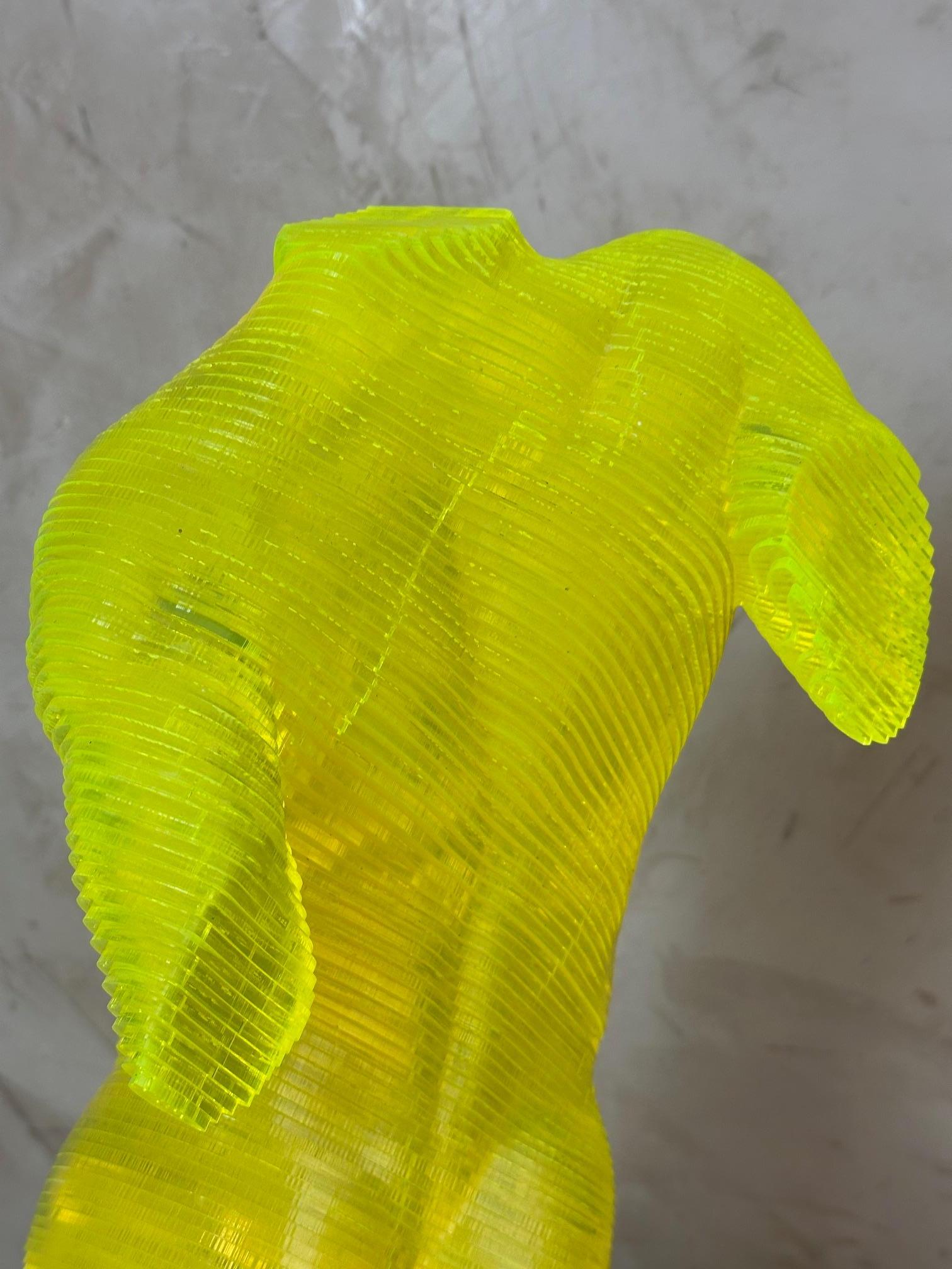 Corpo maschile in acrilico Scultpure Edizione limitata di Olivier Duhamel, 2016s in vendita 7