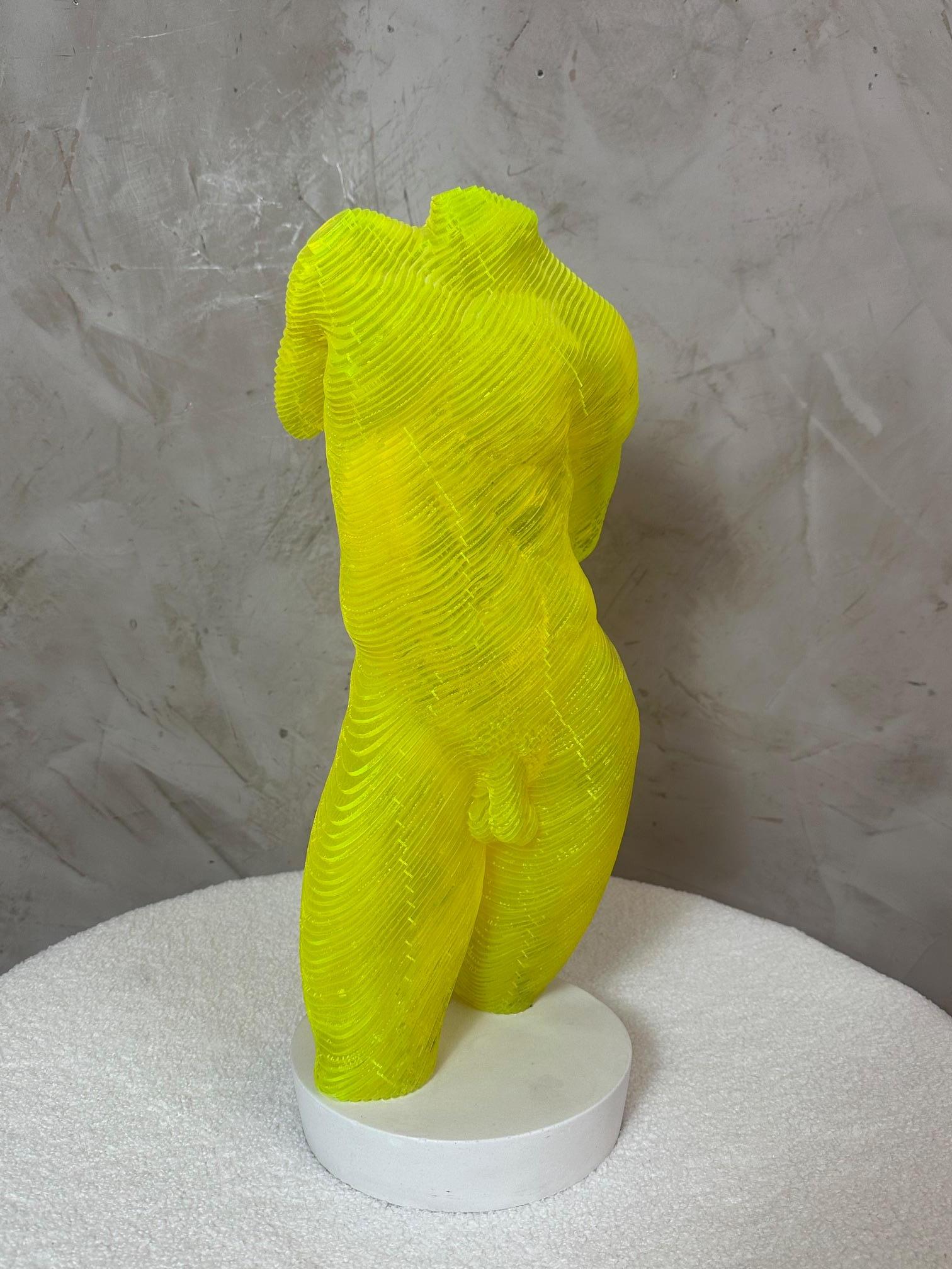 Opera originale in acrilico dell'artista francese Olivier Duhamel, che mostra la sua tecnica di scultura laminata, che crea una silhouette tridimensionale di una figura maschile nuda che interagisce magnificamente con la luce.
I suoi riflessi gialli