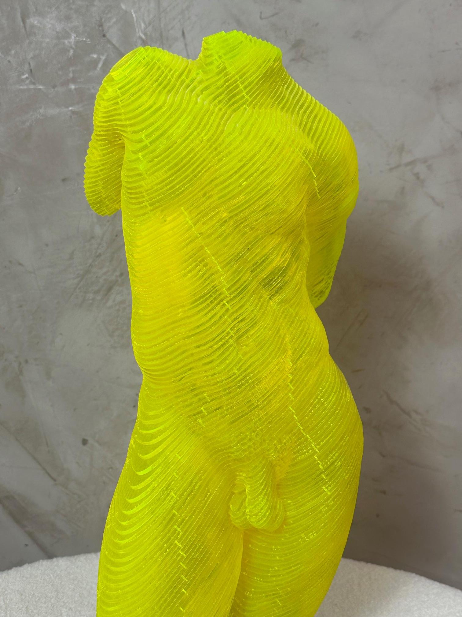 Francese Corpo maschile in acrilico Scultpure Edizione limitata di Olivier Duhamel, 2016s in vendita