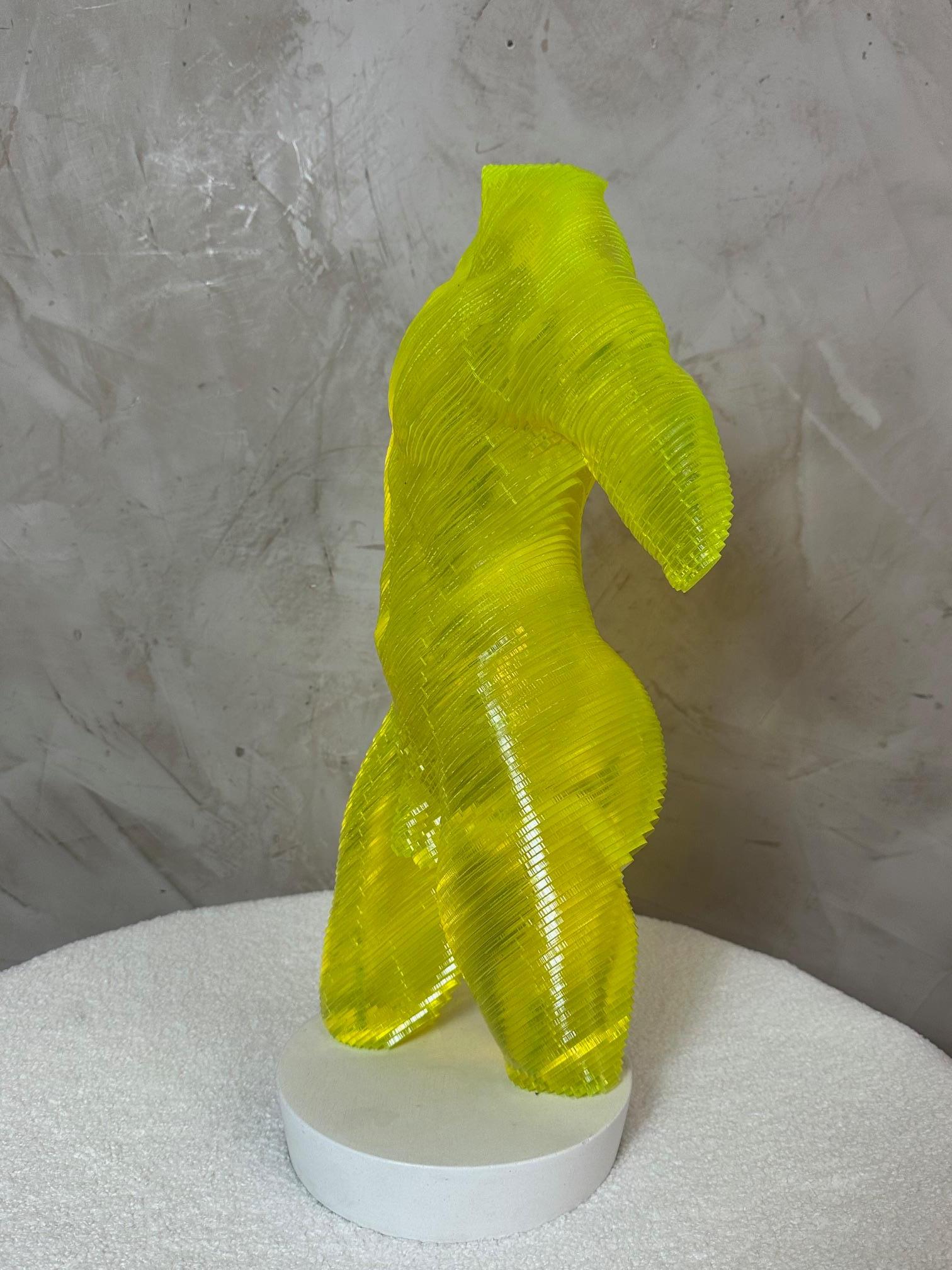 Corpo maschile in acrilico Scultpure Edizione limitata di Olivier Duhamel, 2016s In condizioni buone in vendita a LEGNY, FR