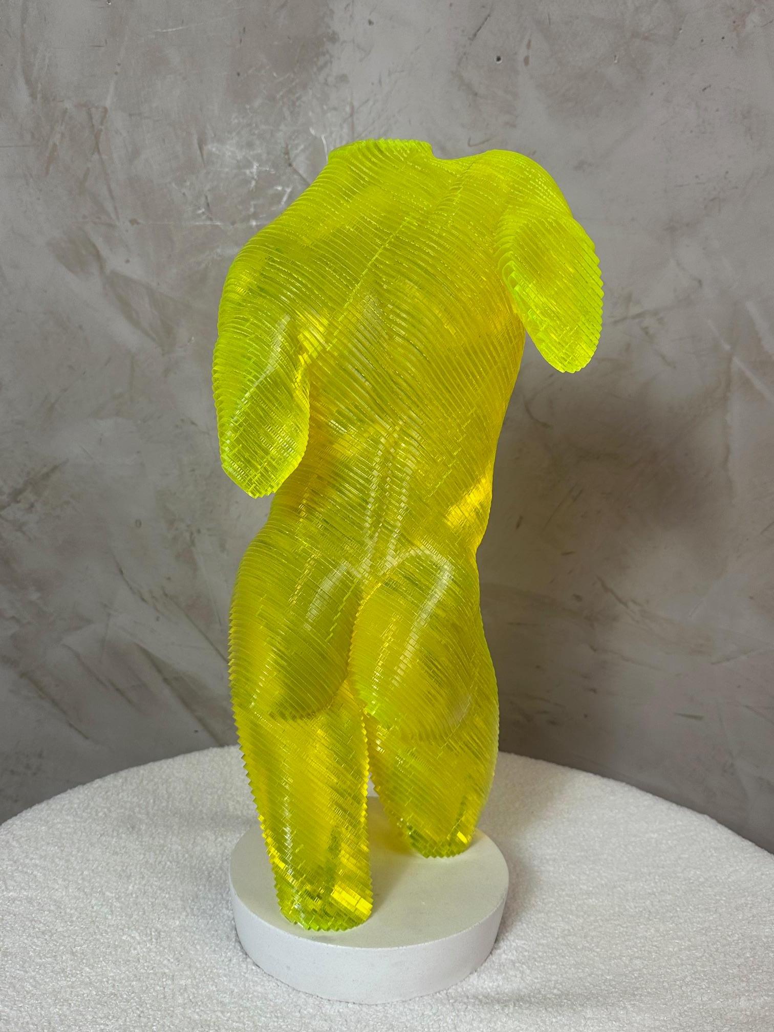 XXI secolo e contemporaneo Corpo maschile in acrilico Scultpure Edizione limitata di Olivier Duhamel, 2016s in vendita