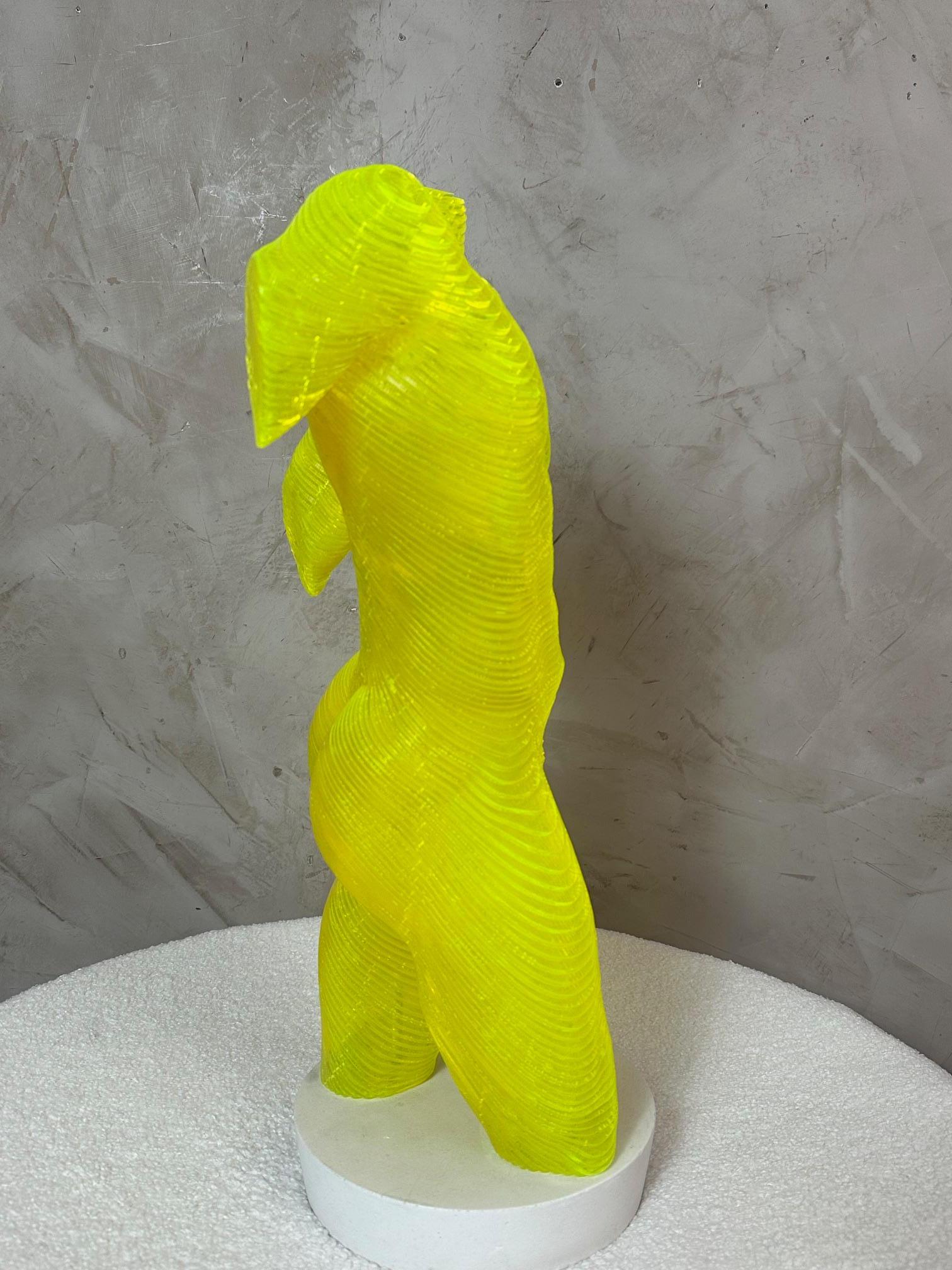 Acrilico Corpo maschile in acrilico Scultpure Edizione limitata di Olivier Duhamel, 2016s in vendita