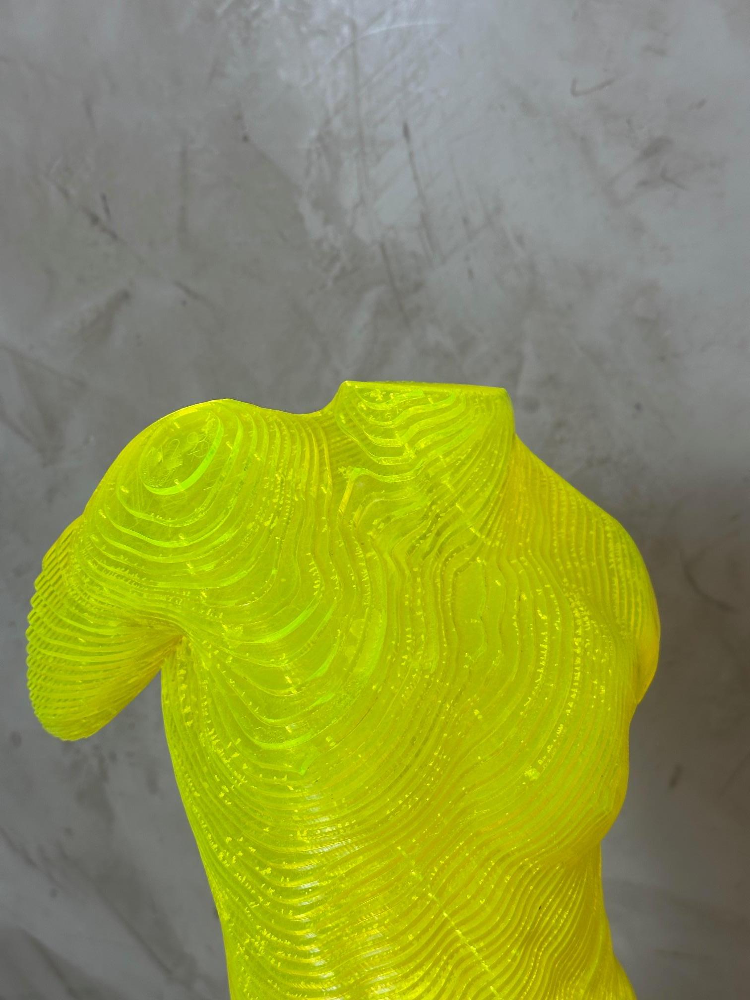 Corpo maschile in acrilico Scultpure Edizione limitata di Olivier Duhamel, 2016s in vendita 3