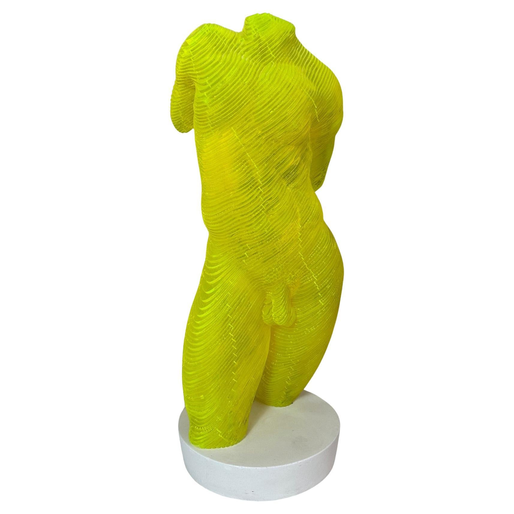 Corpo maschile in acrilico Scultpure Edizione limitata di Olivier Duhamel, 2016s in vendita