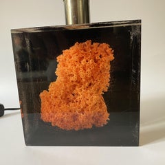 Acrylic Resin Cube with Coral Inclusion Table Lamp by Pierre Giraudon, 1970s.
