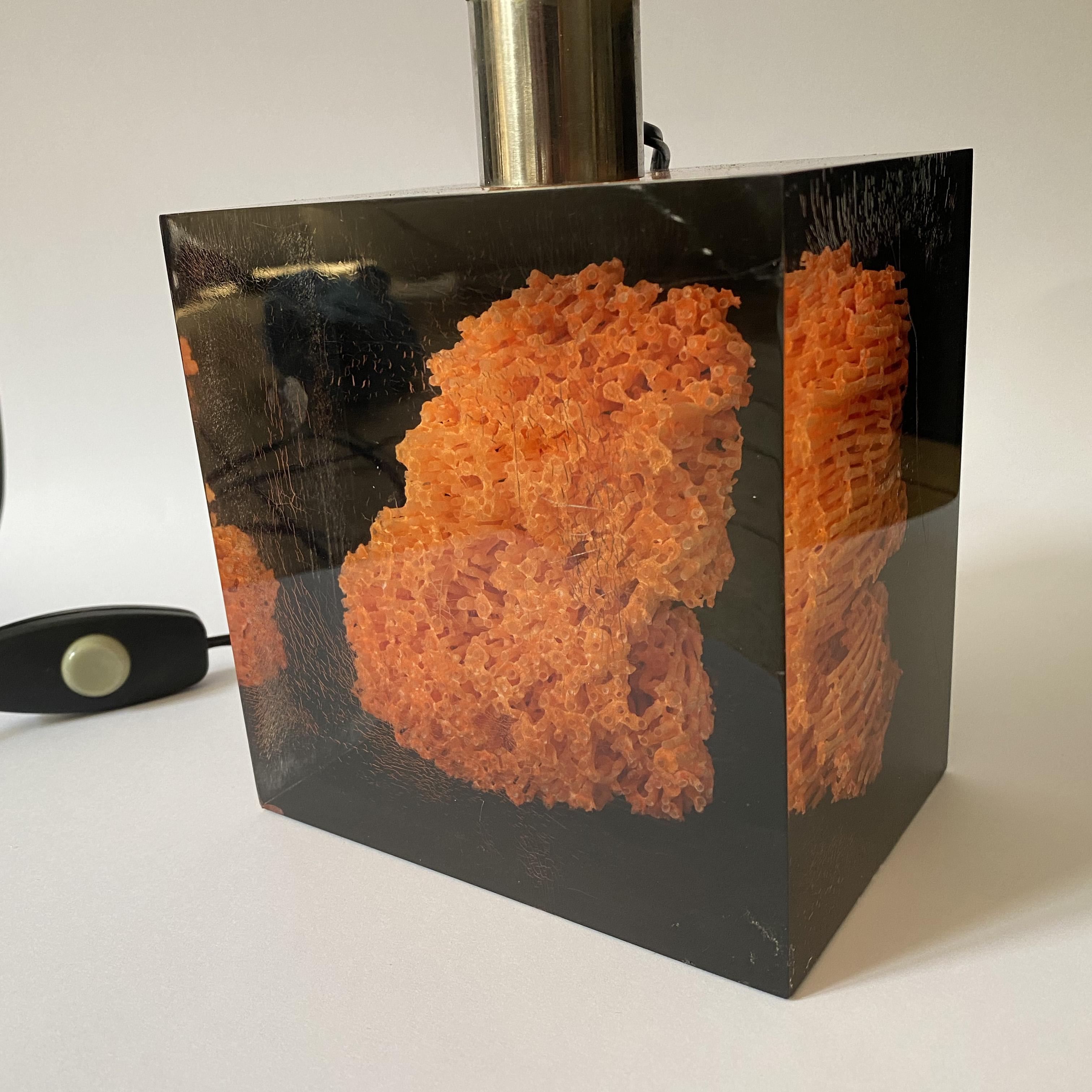 Acrylic Resin Cube with Coral Inclusion Table Lamp by Pierre Giraudon, 1970s. In Good Condition In Lille, FR