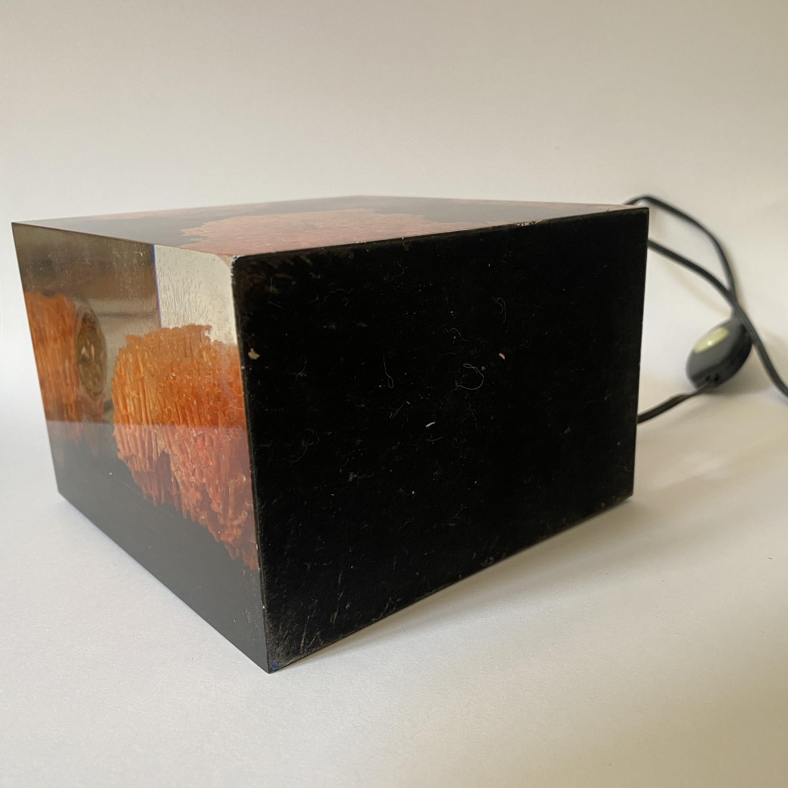 Late 20th Century Acrylic Resin Cube with Coral Inclusion Table Lamp by Pierre Giraudon, 1970s.