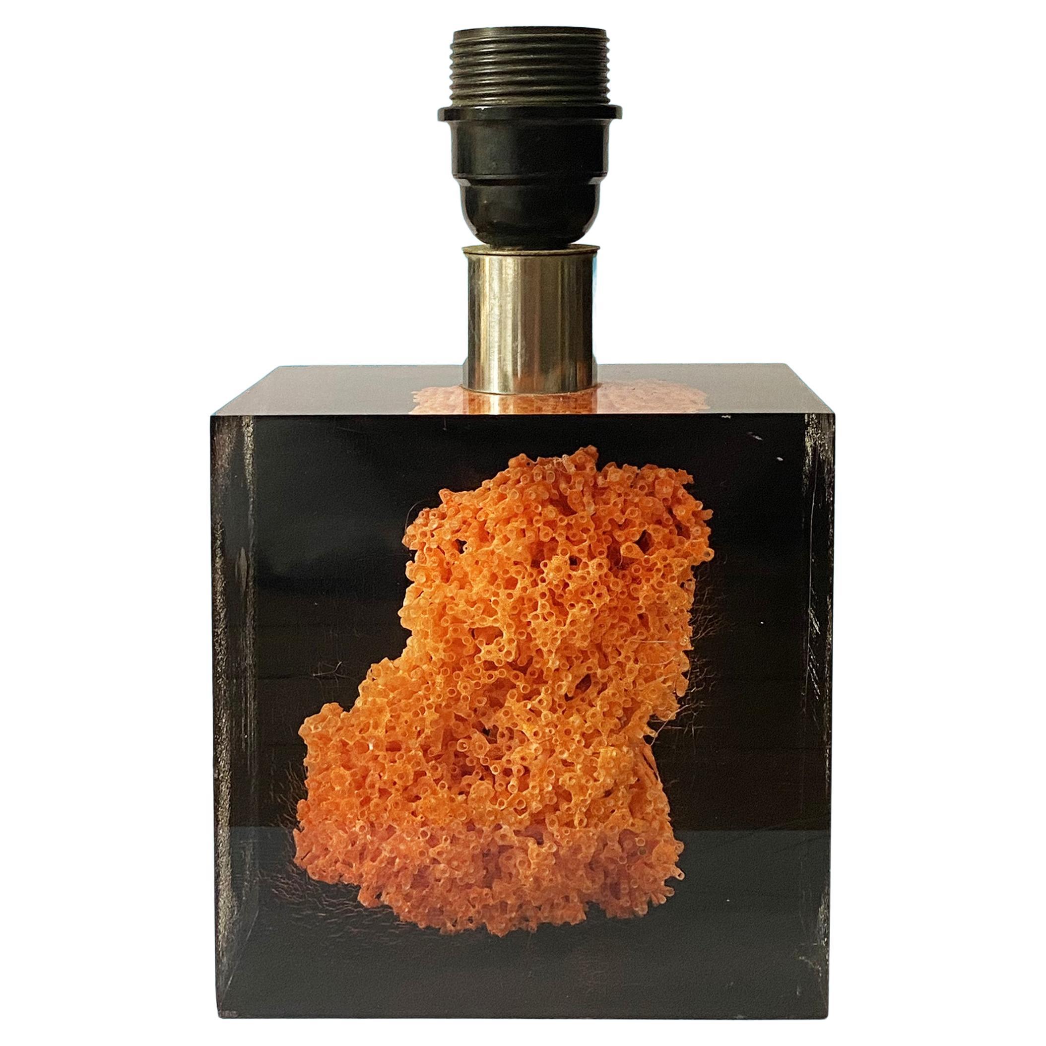 Acrylic Resin Cube with Coral Inclusion Table Lamp by Pierre Giraudon, 1970s.