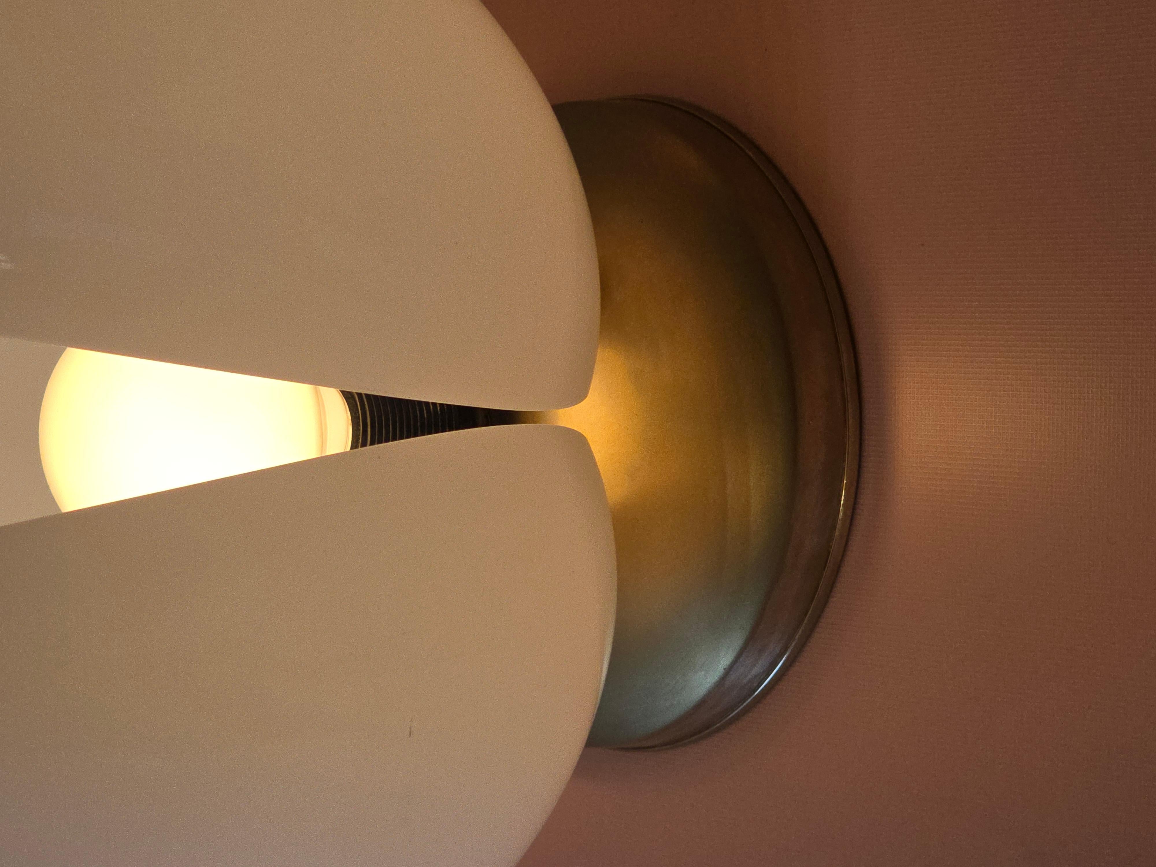 Late 20th Century Acrylic Tulip Petal Lamp in the Manner of Rougier