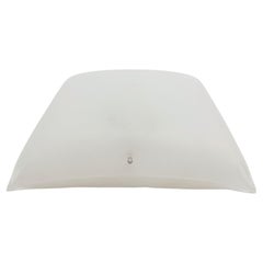 Acrylic Wall or Ceiling Lamp