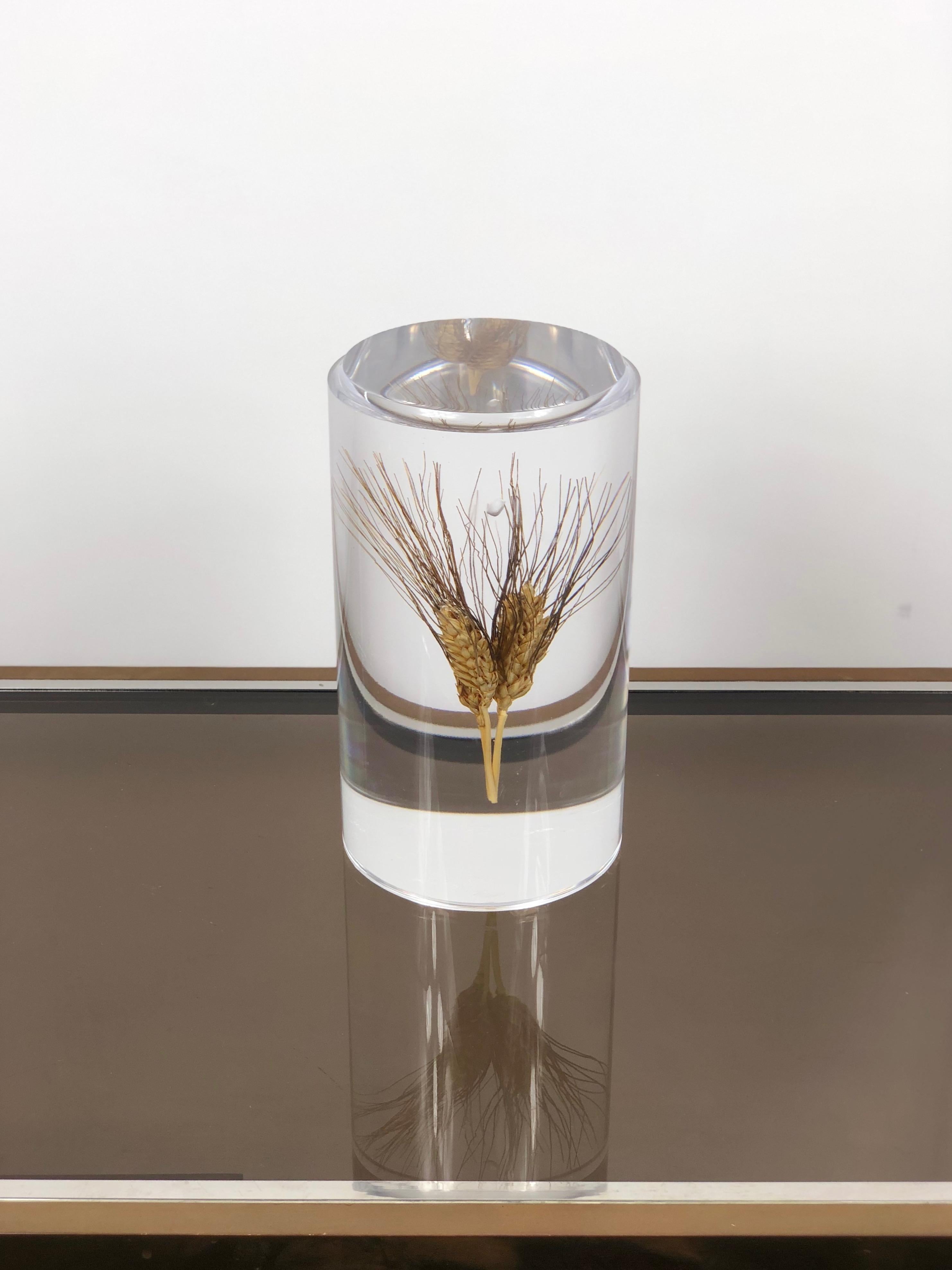 Acrylic sculpture in a cylindrical shape featuring inside an ear of wheat. The sculpture is in the Italian Modernist style and the conditions are excellent.