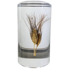Acrylic Wheat Ear Cylindrical Sculpture in Modern Style, Italy