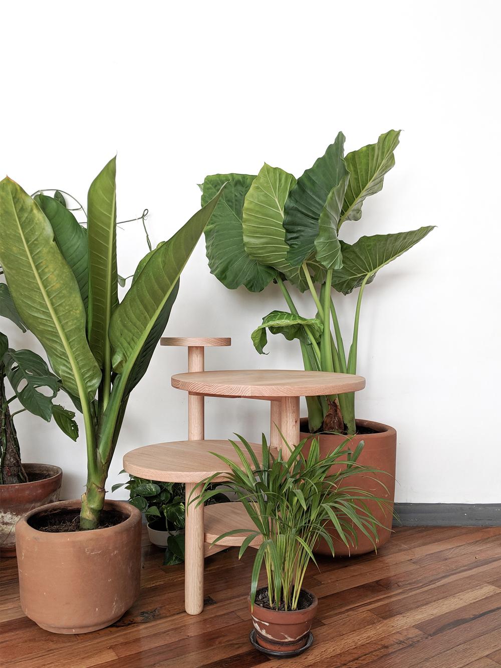 Meet the Acuña Side Table, from the 