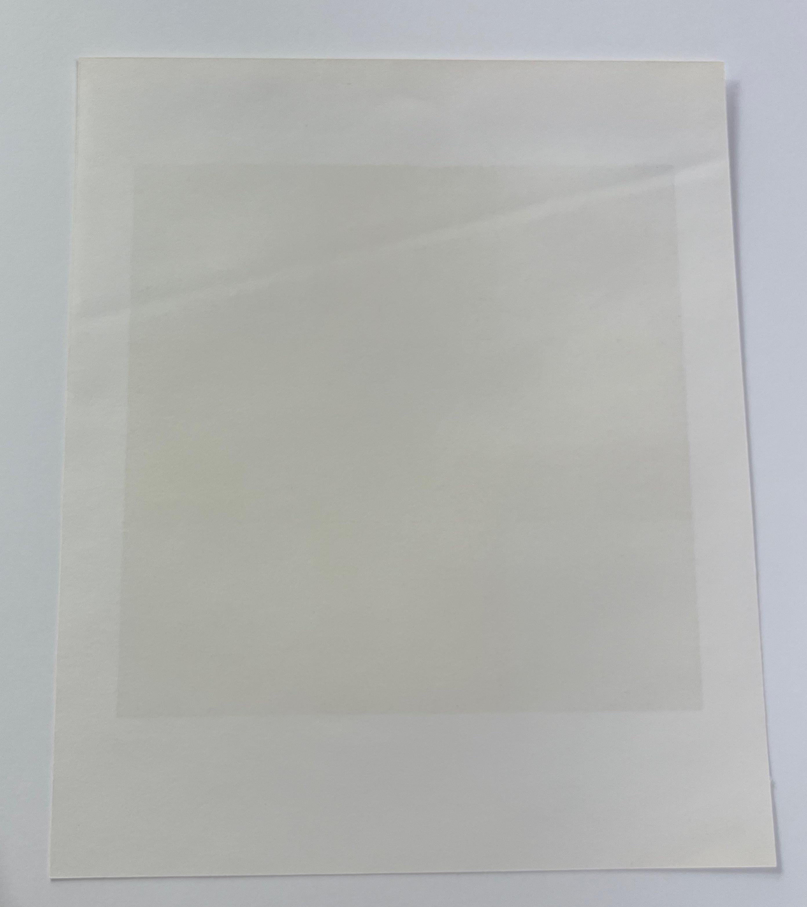 (after) Ad Reinhardt - serigraph For Sale 1