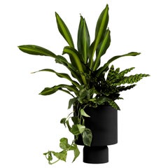Ada Black Bold aluminum planter