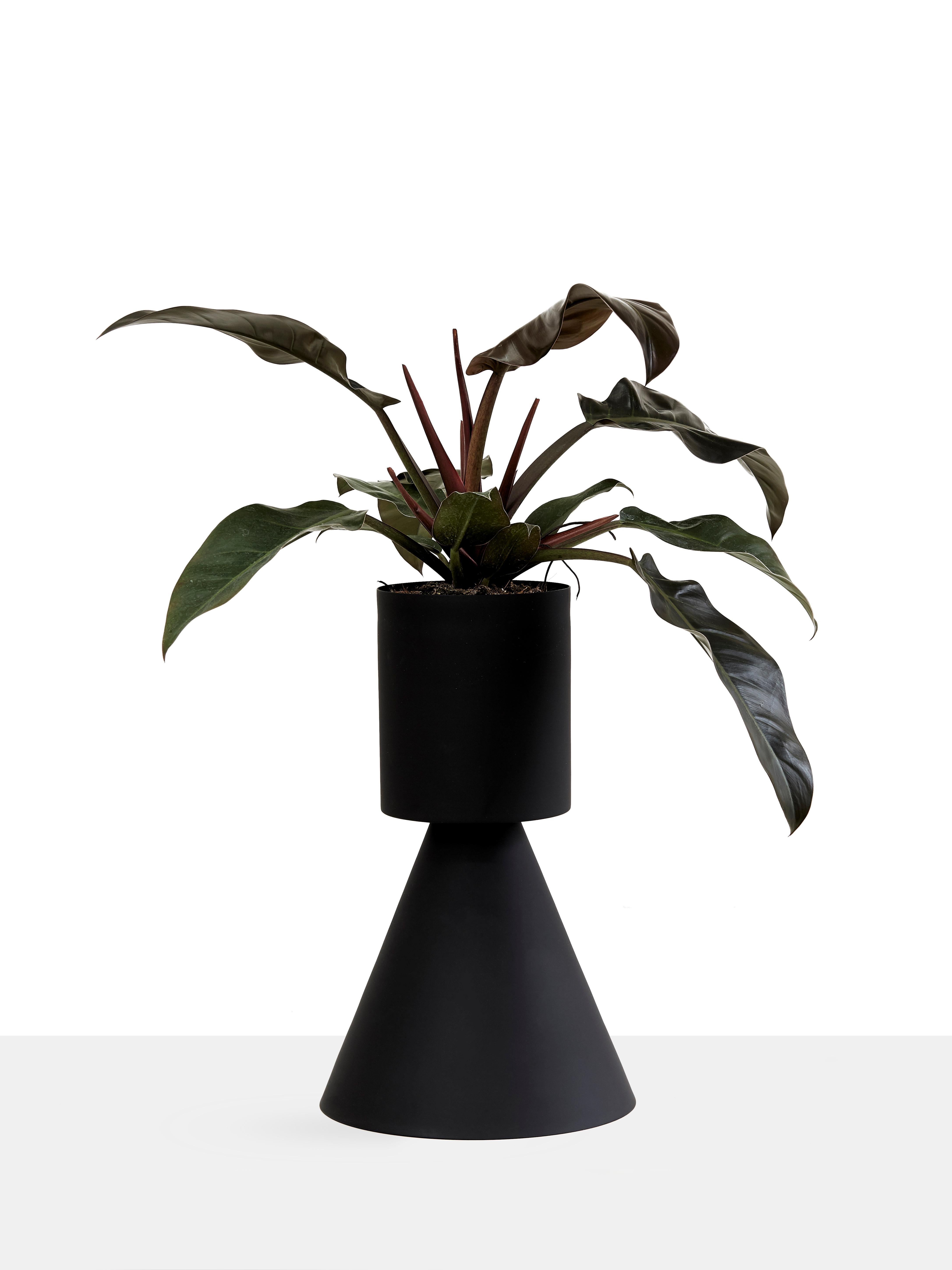 ADA planter was made in a metal spinning process out of aluminum. They come in four types, all can be filled from both sides, allowing for endless combinations from cactus as well as palm trees. 
The planter edition is available in black and