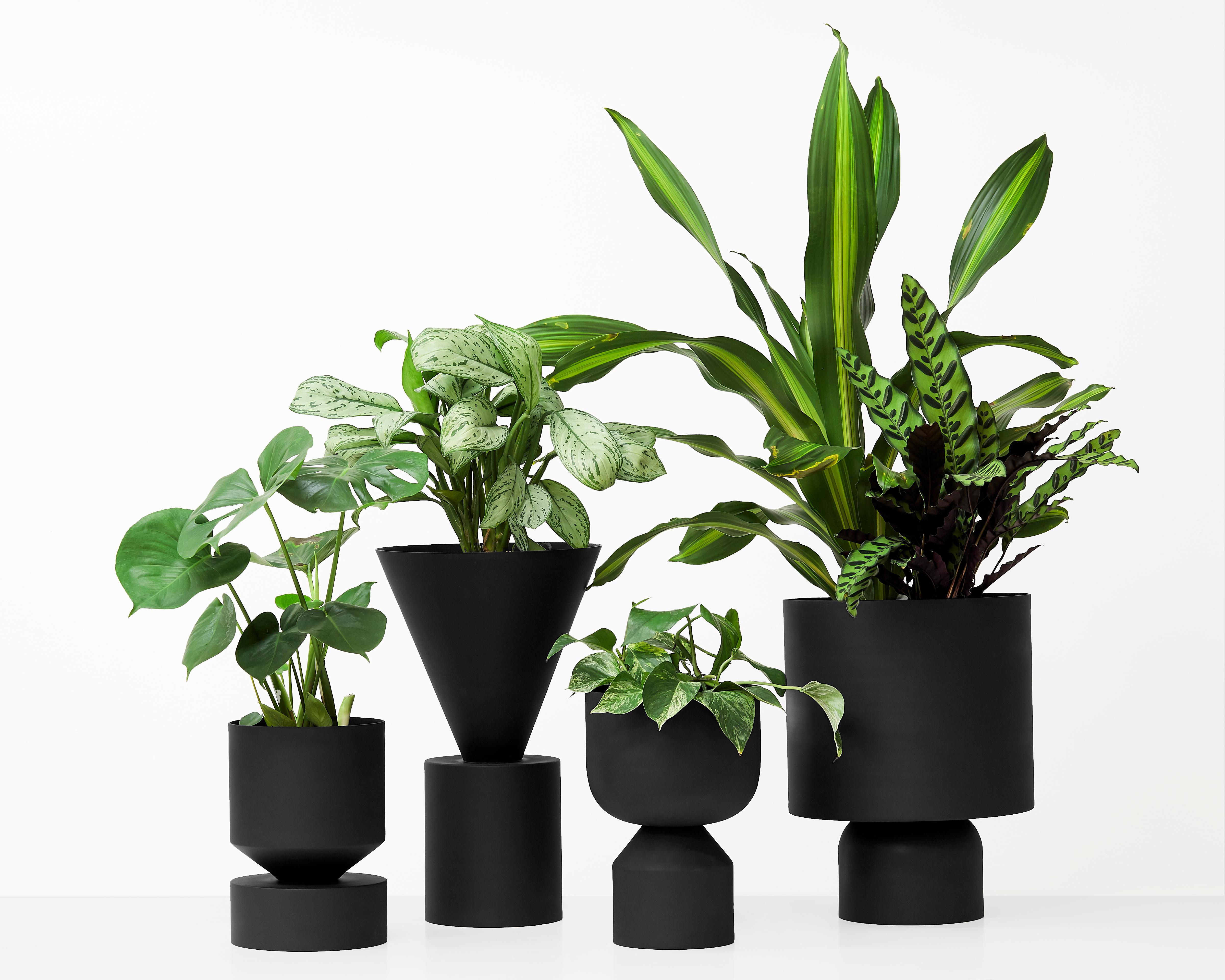Contemporary Ada Black Large aluminum planter  For Sale