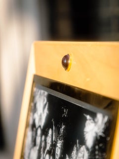 Cornice ADA in legno di betulla e bronzo cobalto vermeil, di Giberto Venezia