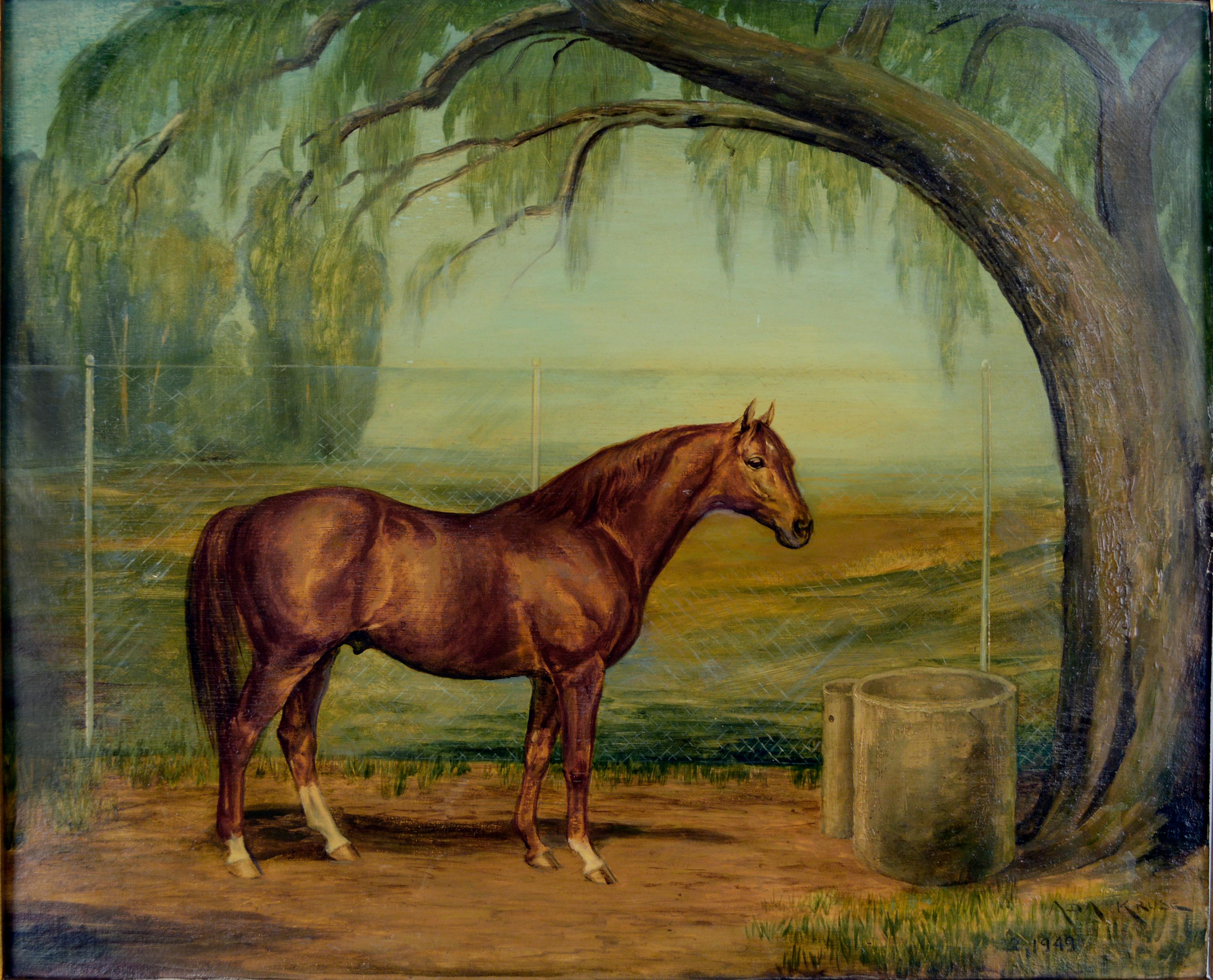 Gorgeous horse portrait of Louis B. Mayer's 
