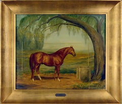 "Alibhai" Thoroughbred Race Horse 1949 by Ada Kruse Louis B Mayer MGM Studios 