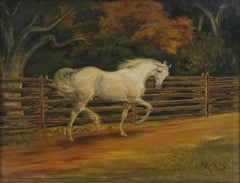 Thoroughbred Race Horse "Sabu" 1948 by Ada Kruse