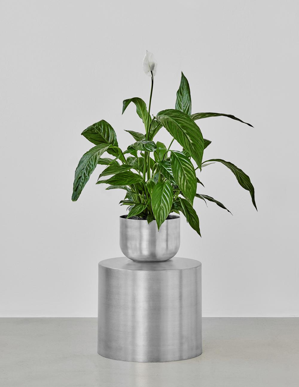 Ada Raw Bold aluminum planter  For Sale 2