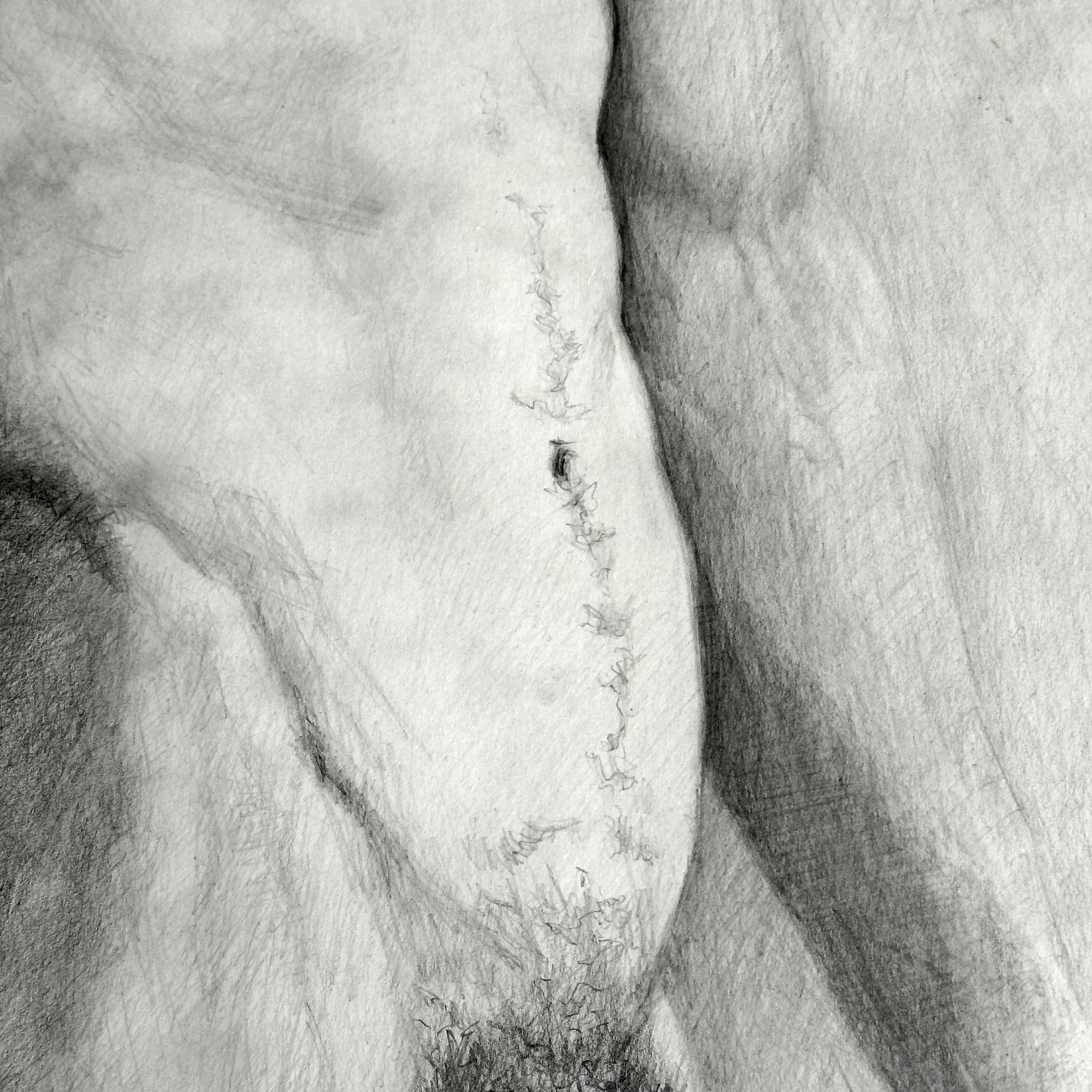 „Adam“, eine Graphitfigur-Zeichnung von Sherry Camhy (Papier) im Angebot