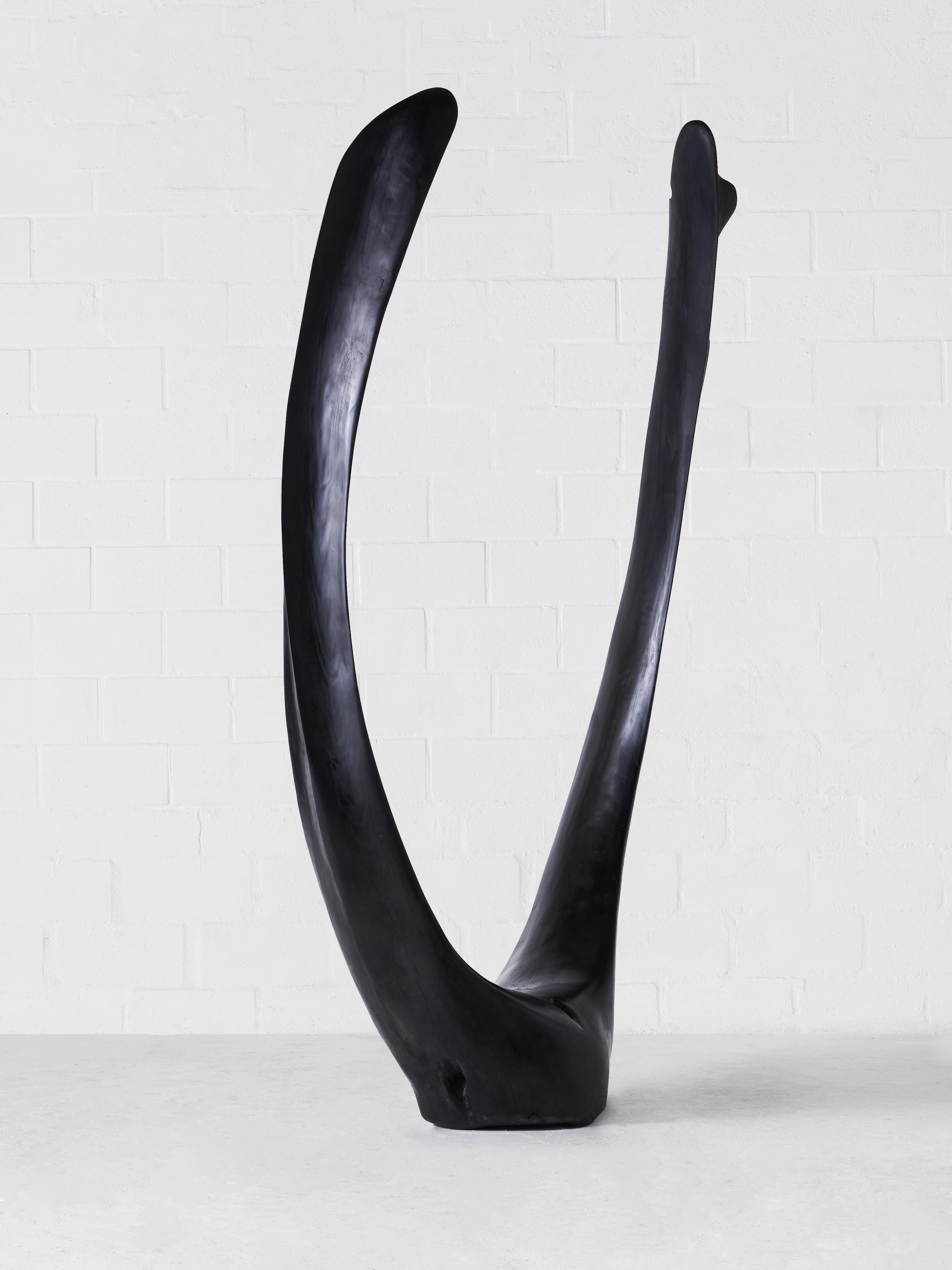 Adam Birch’s practice is driven by a deep understanding and respect for South Africa’s unique ecology. Each of his sculptural works has been intuitively crafted with a dual understanding of the tree’s innate form and how its organic structure can