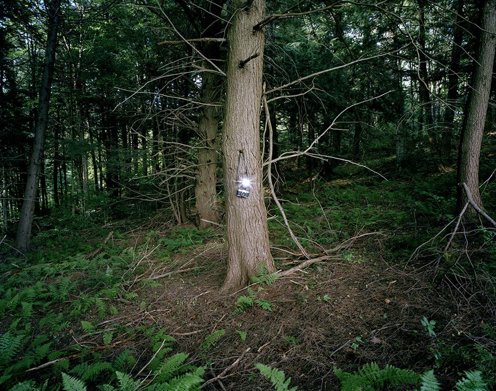 Adam Ekberg Landscape Photograph - A Camera in the Forest