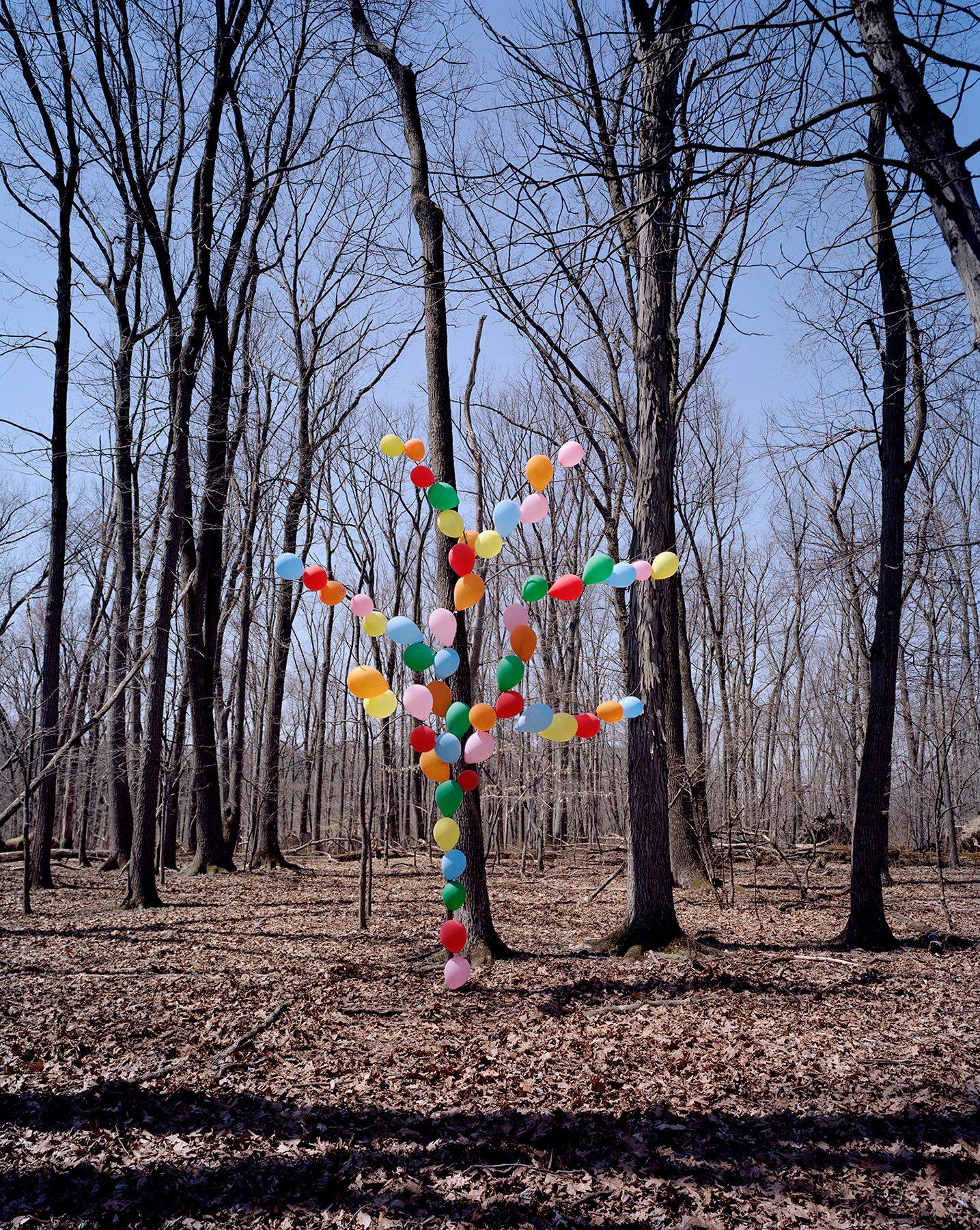 Balloon Tree - Photograph by Adam Ekberg