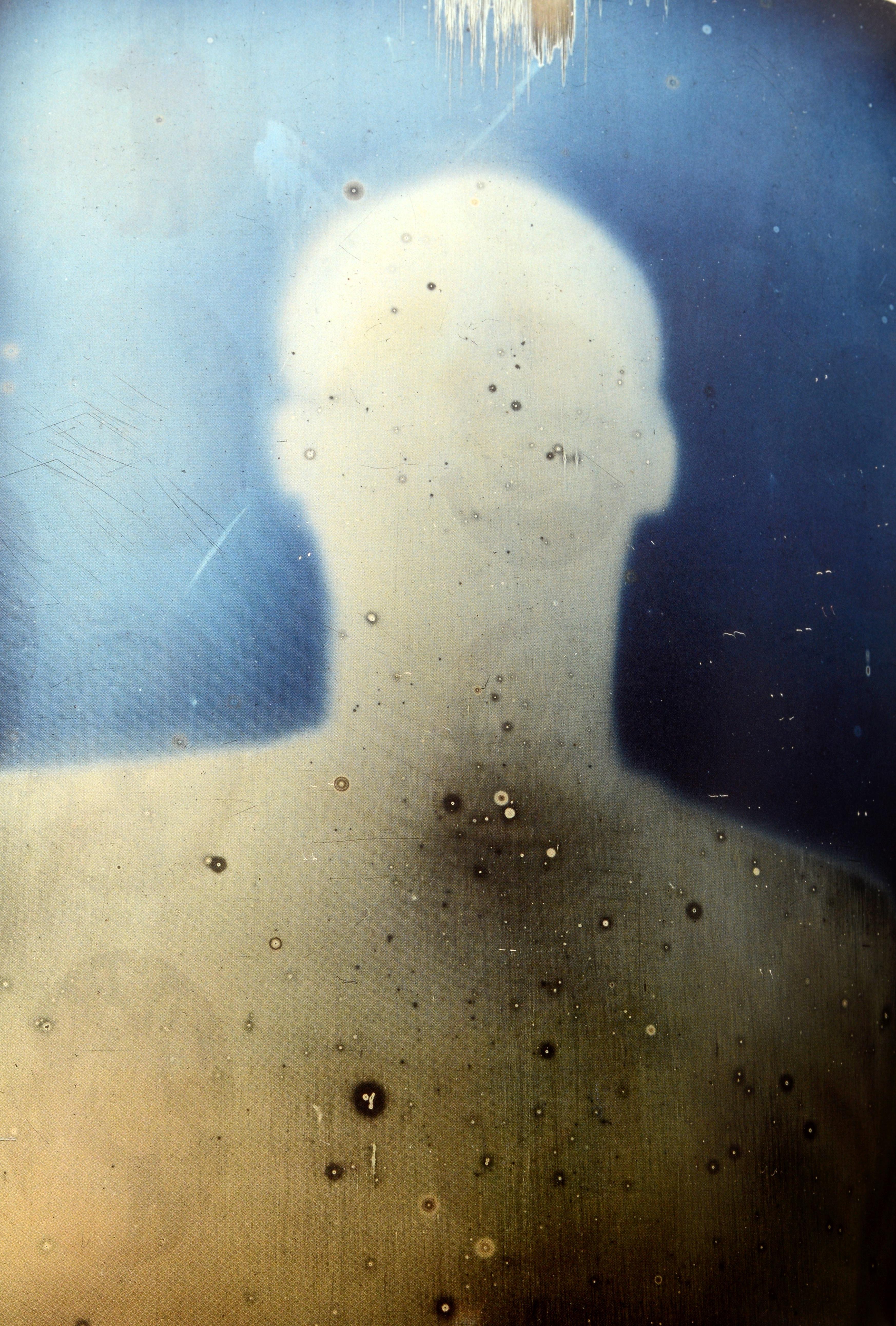 Adam Fuss by Christopher Bucklow, 1st Ed 12