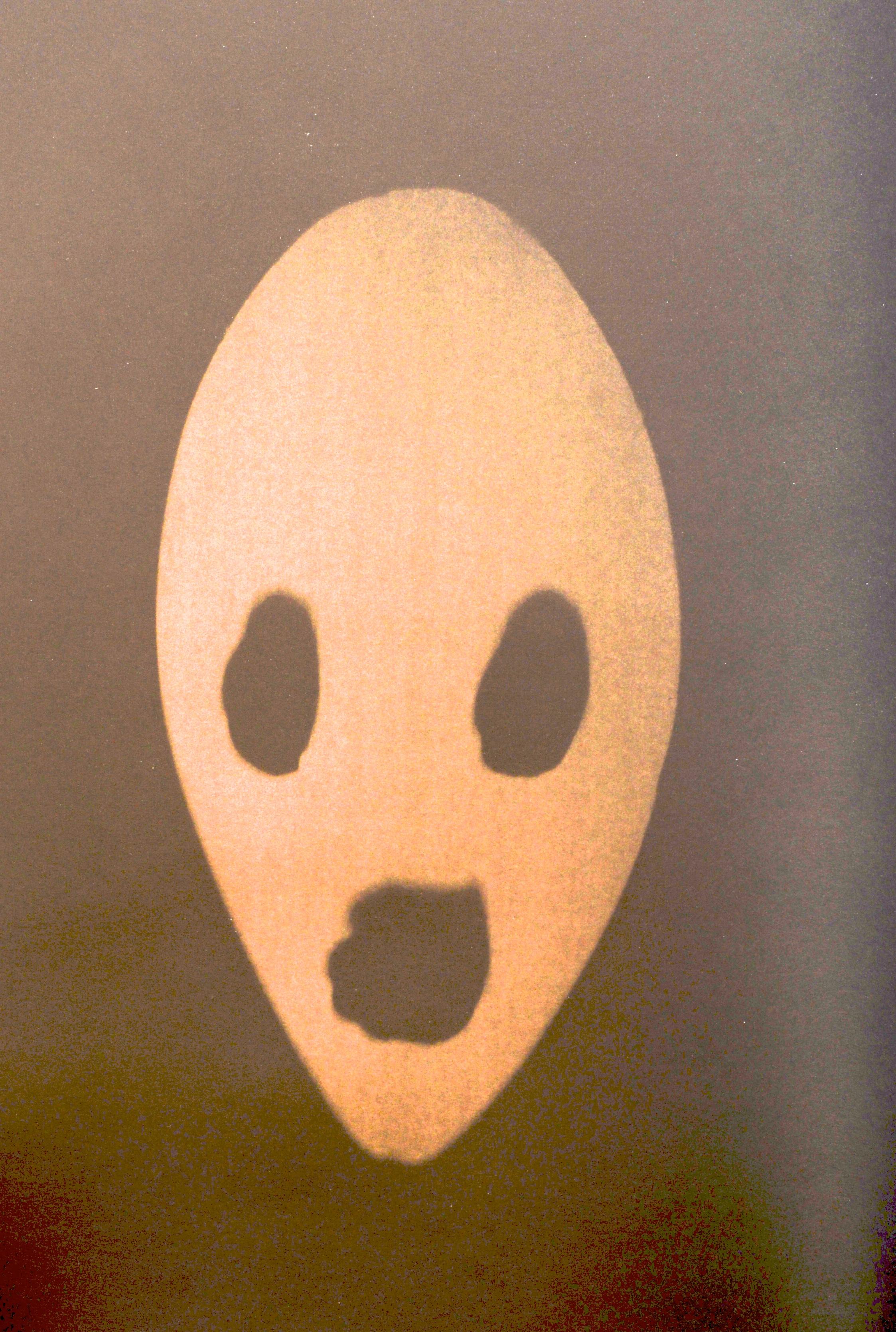 Adam Fuss Mask by Adam Fuss and Peter Lamborn Wilson, 1st Ed Exhibition Catalog For Sale 2