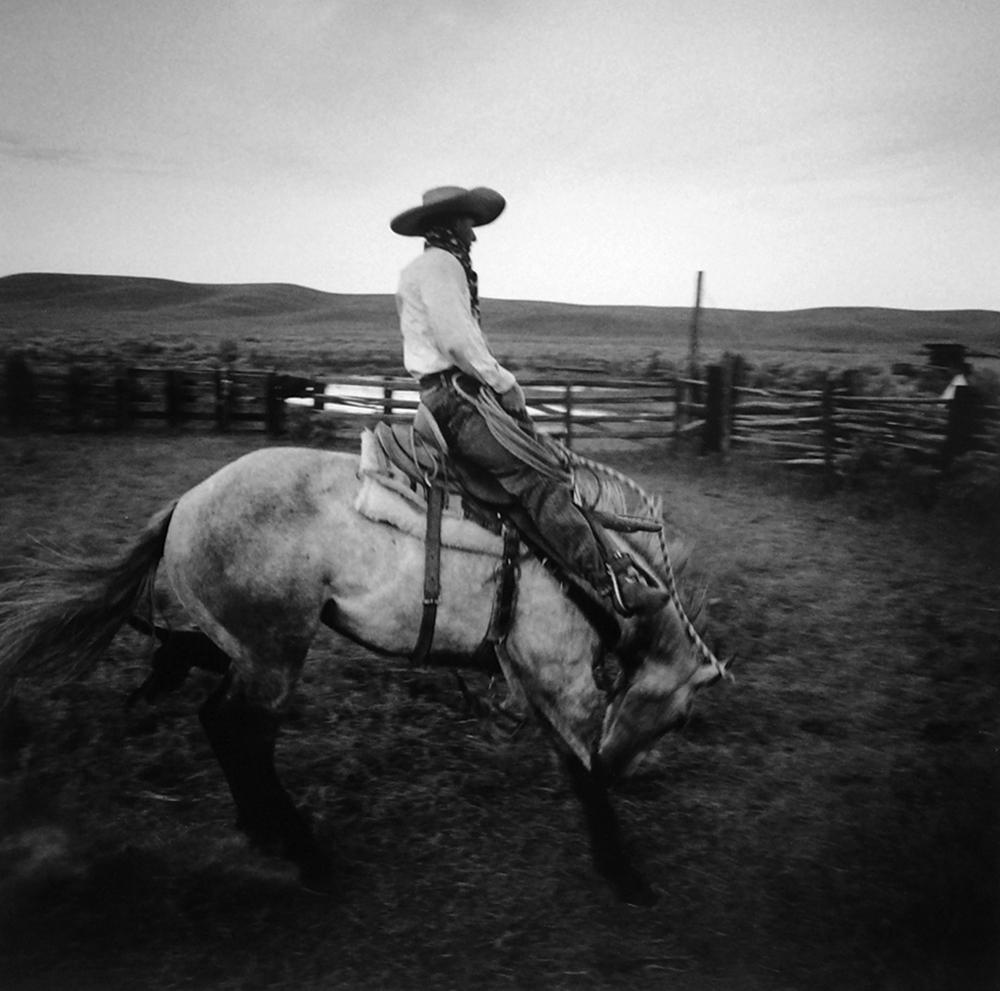 Adam Jahiel Portrait Photograph - A Fresh Horse