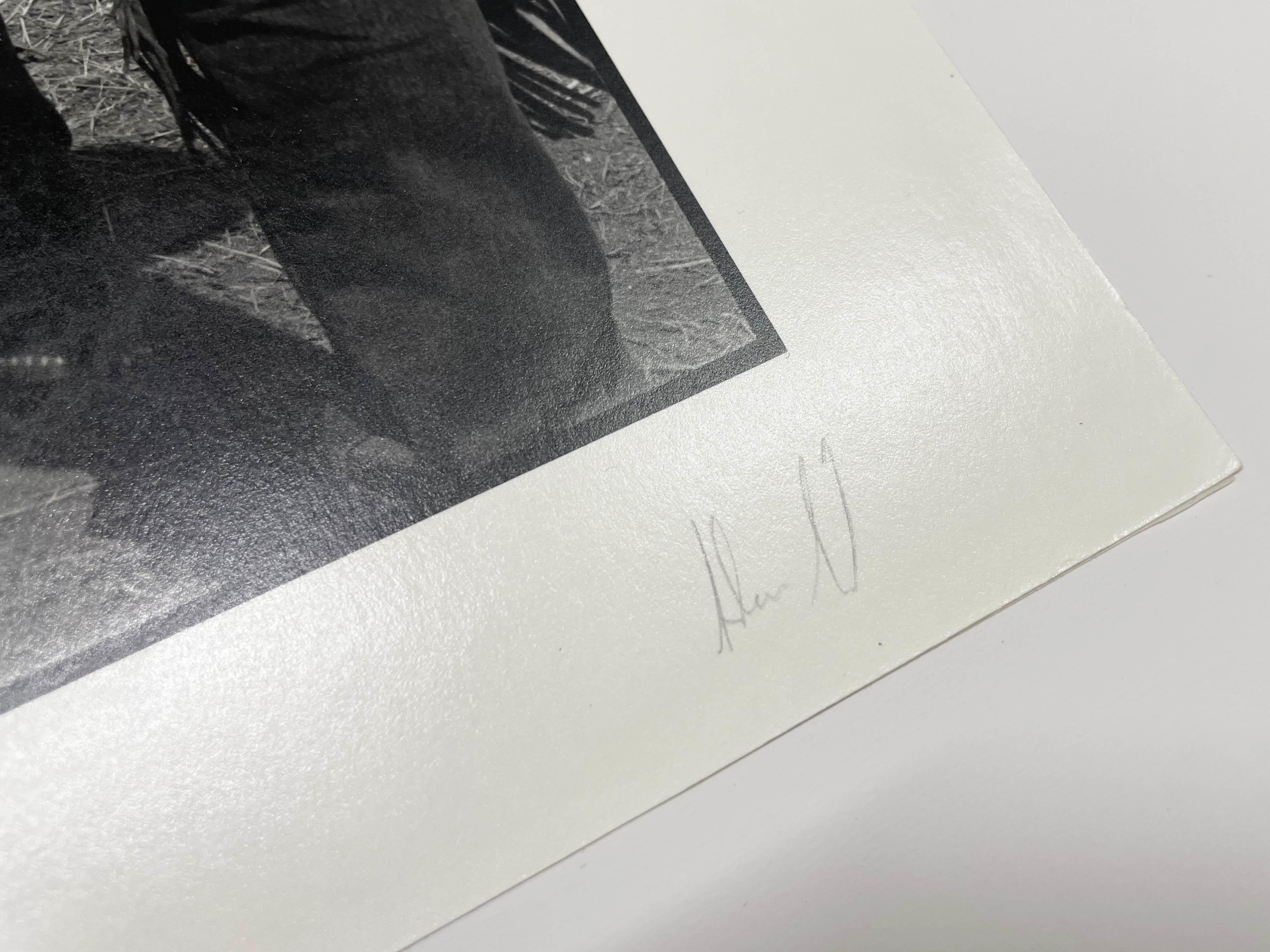 Branding, Deep Creek by Adam Jahiel, Silver Gelatin Print, Photography For Sale 4