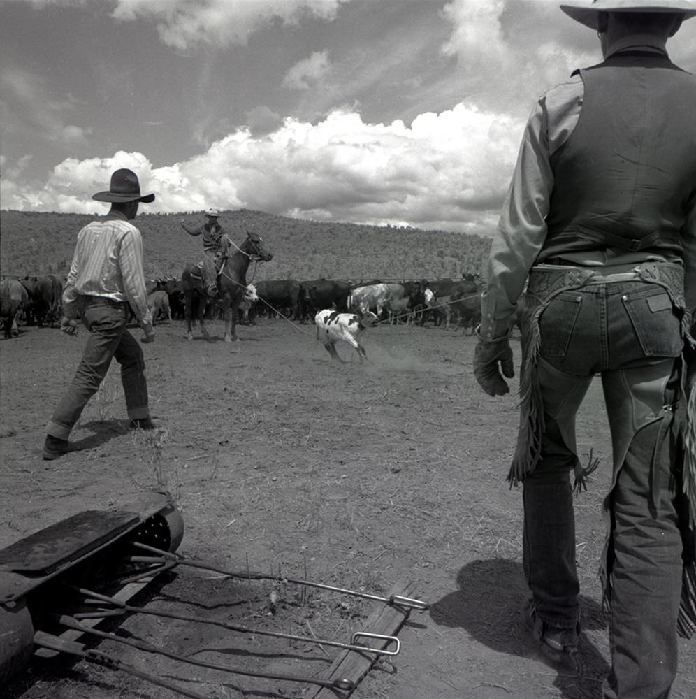 Adam Jahiel Black and White Photograph - Branding, Deep Creek IL Ranch, Columbia Basin, NV