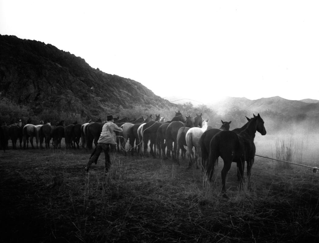 Adam Jahiel Black and White Photograph - Cavvy, Columbia Basin, IL Ranch