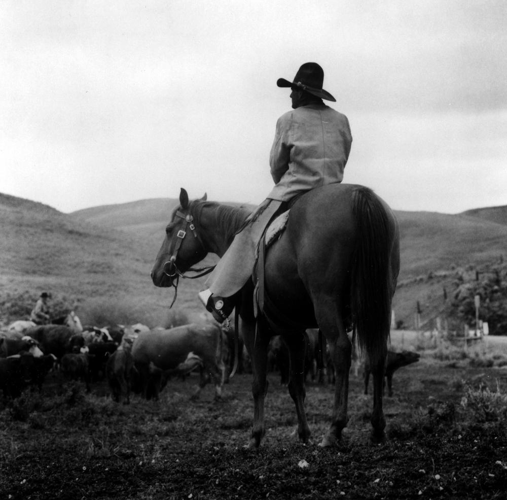 Adam Jahiel Portrait Photograph - Holding the Herd