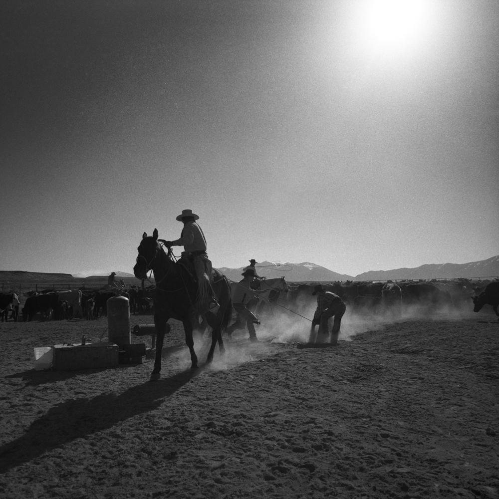 Adam Jahiel Portrait Photograph - Roping, IL Ranch, NV