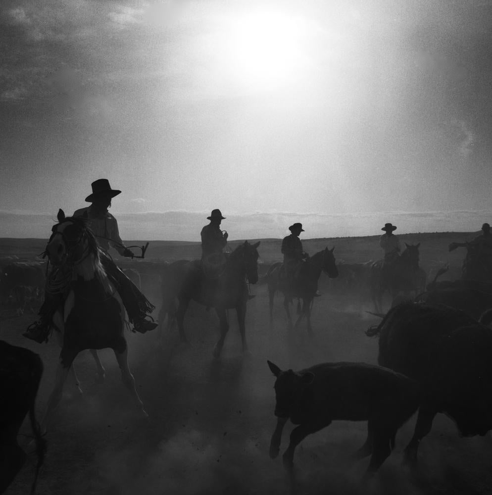 Portrait Photograph Adam Jahiel - Roundup n° 2, ranch TS