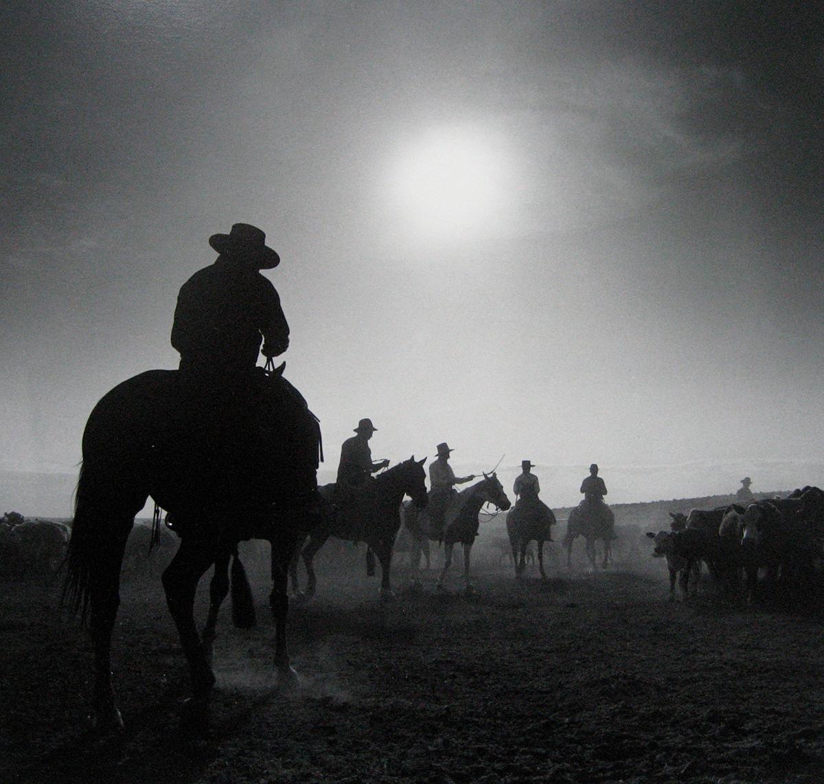 Sunrise, YP Ranch by Adam Jahiel is a 13 x 13 inch silver gelatin print, available in an edition of 50. 
This photograph is dry mounted onto a 24 x 20 inch mat board. 
This photograph is signed with edition number on over mat in pencil, as well as