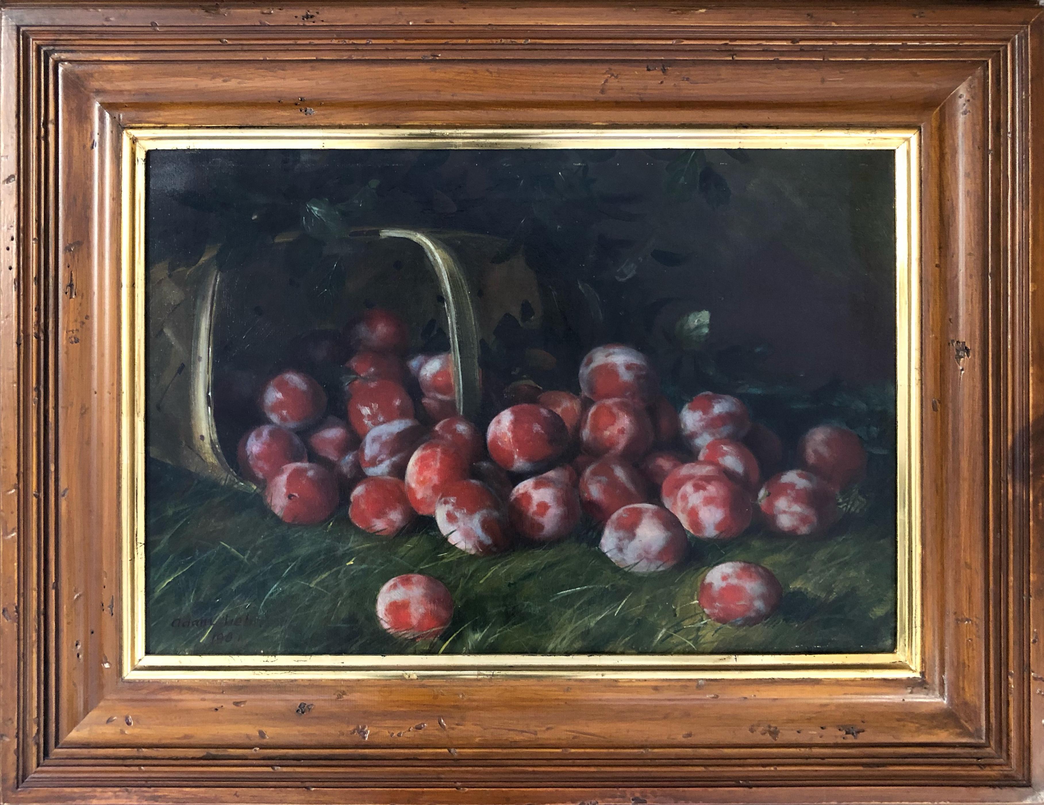 Adam Lehr Still-Life Painting – Gros Prunes, Pflaumen-Stillleben
