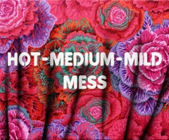 Hot-Medium-Mild-Mess, Adam Mars, 2017, Acrylic, Spray Paint, Fabric Panel, Text