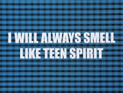 I Will Always Smell Like Teen Spirit, 2016, Adam Mars, Spray Paint, Fabric Panel