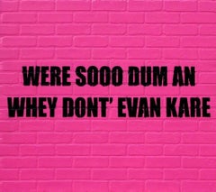 Were Sooo Dum An Whey Dont' Evan Kare, 2013, Adam Mars, Text Based, Faux Brick