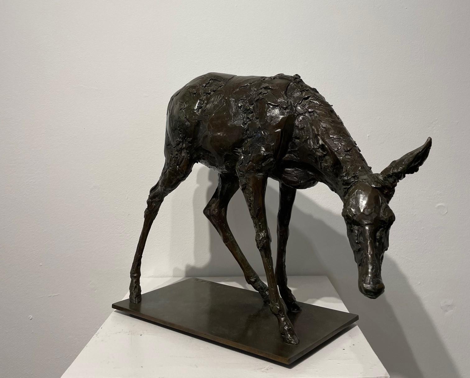 Doe     Una escultura original de Bronce
