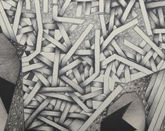 Cocoon II, Conceptual Lithograph by Adam Styka