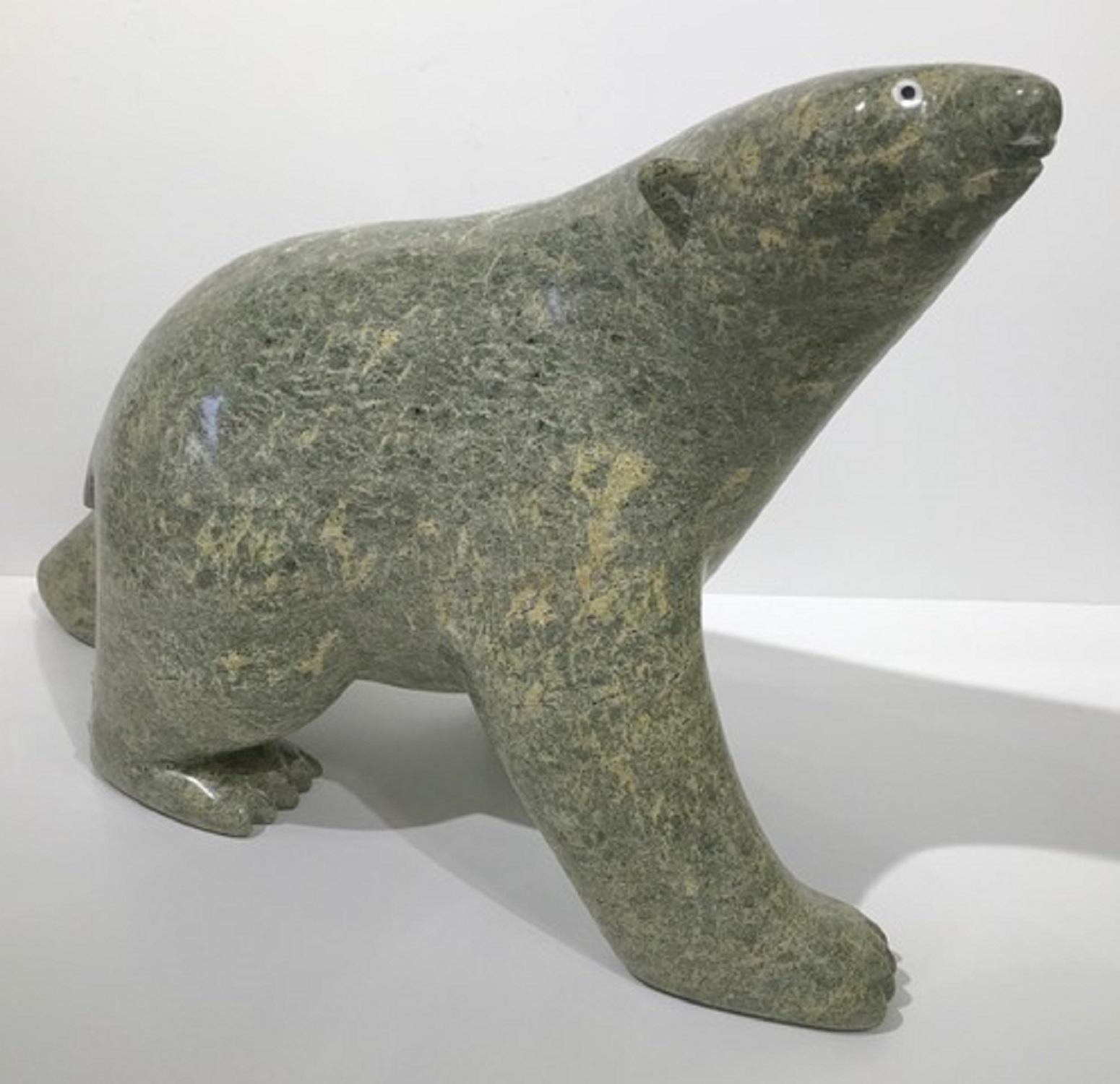 Inuit: Orso che cammina