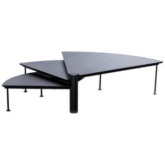Table basse à éventail adaptable en acier et bois par Tiago Curioni