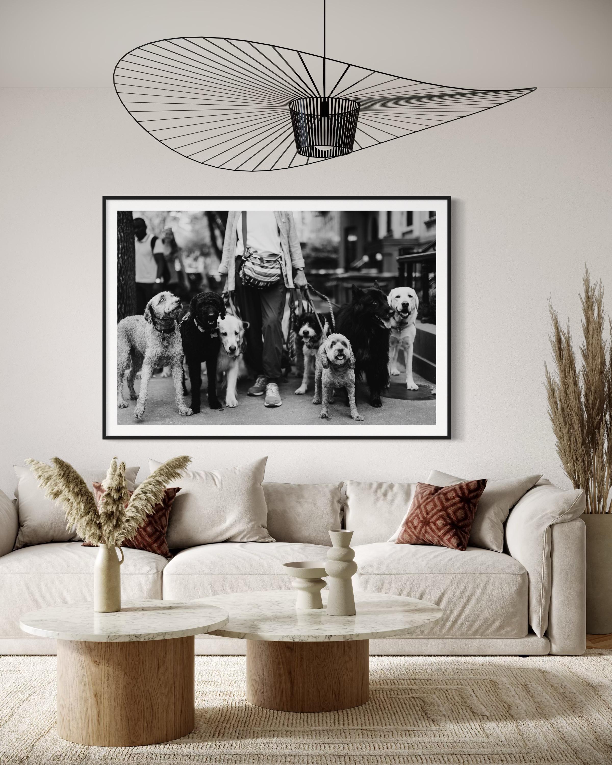 Limitierte Auflage, New Yorker Hunde Walker Fine Art Photography-The Dog Walker 911 im Angebot 5